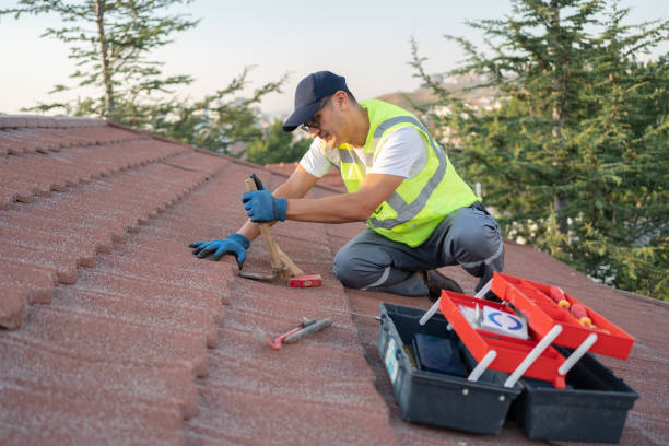 Best Roof Gutter Cleaning  in Wyoming, DE