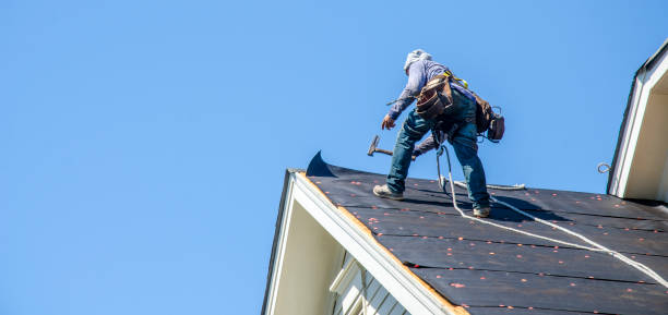 Roof Gutter Cleaning in Wyoming, DE